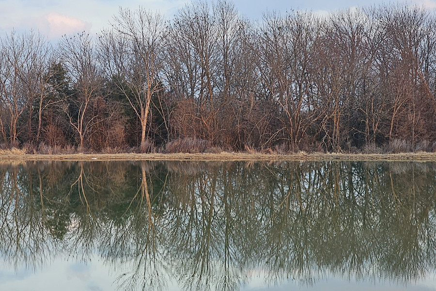 Pond Reflection